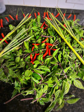 Load image into Gallery viewer, Side Serving farm-fresh Thai Basil
